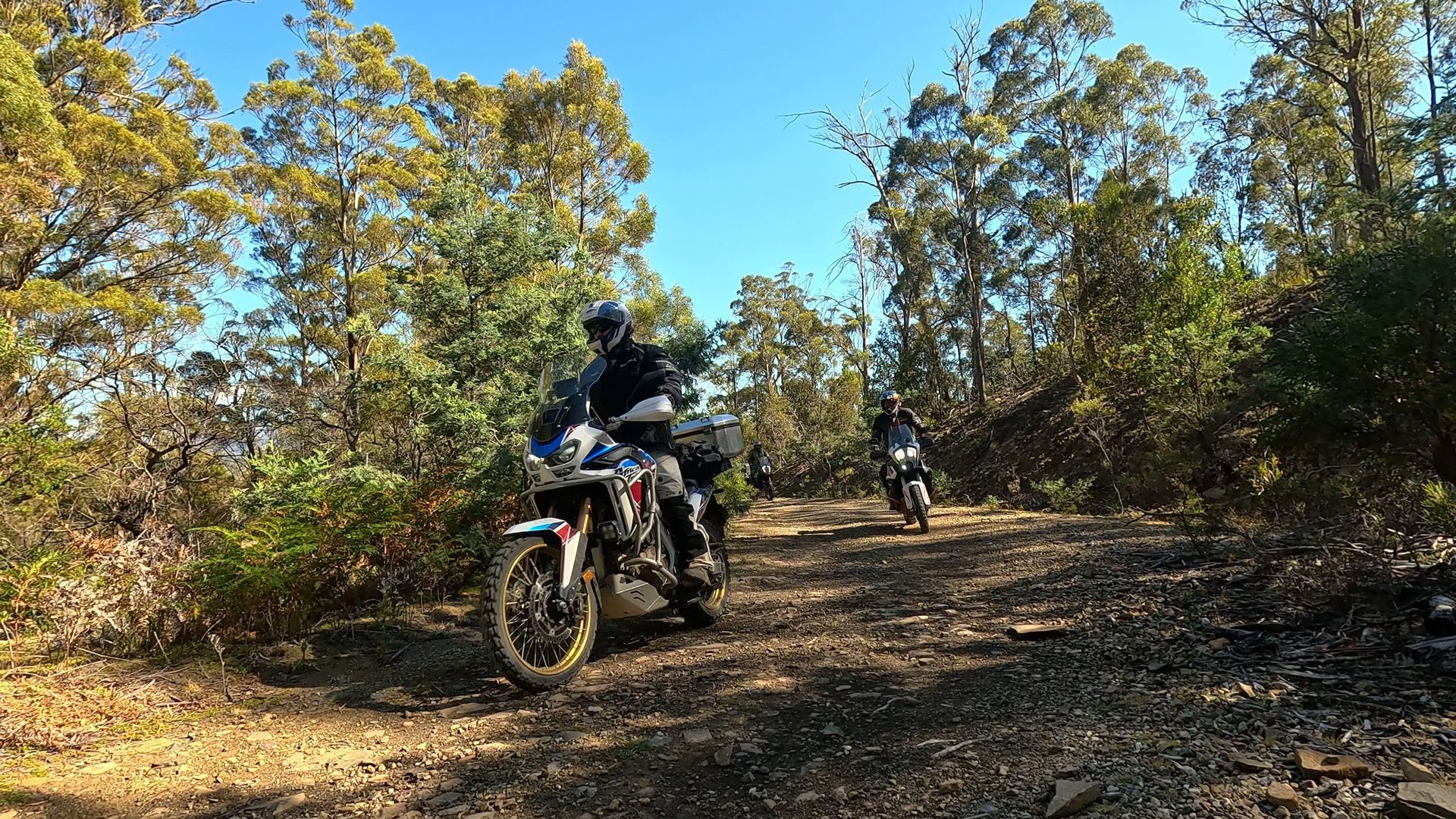 Two dirt bikers ride along a sunlit forest trail with dry leaves and trees around them.