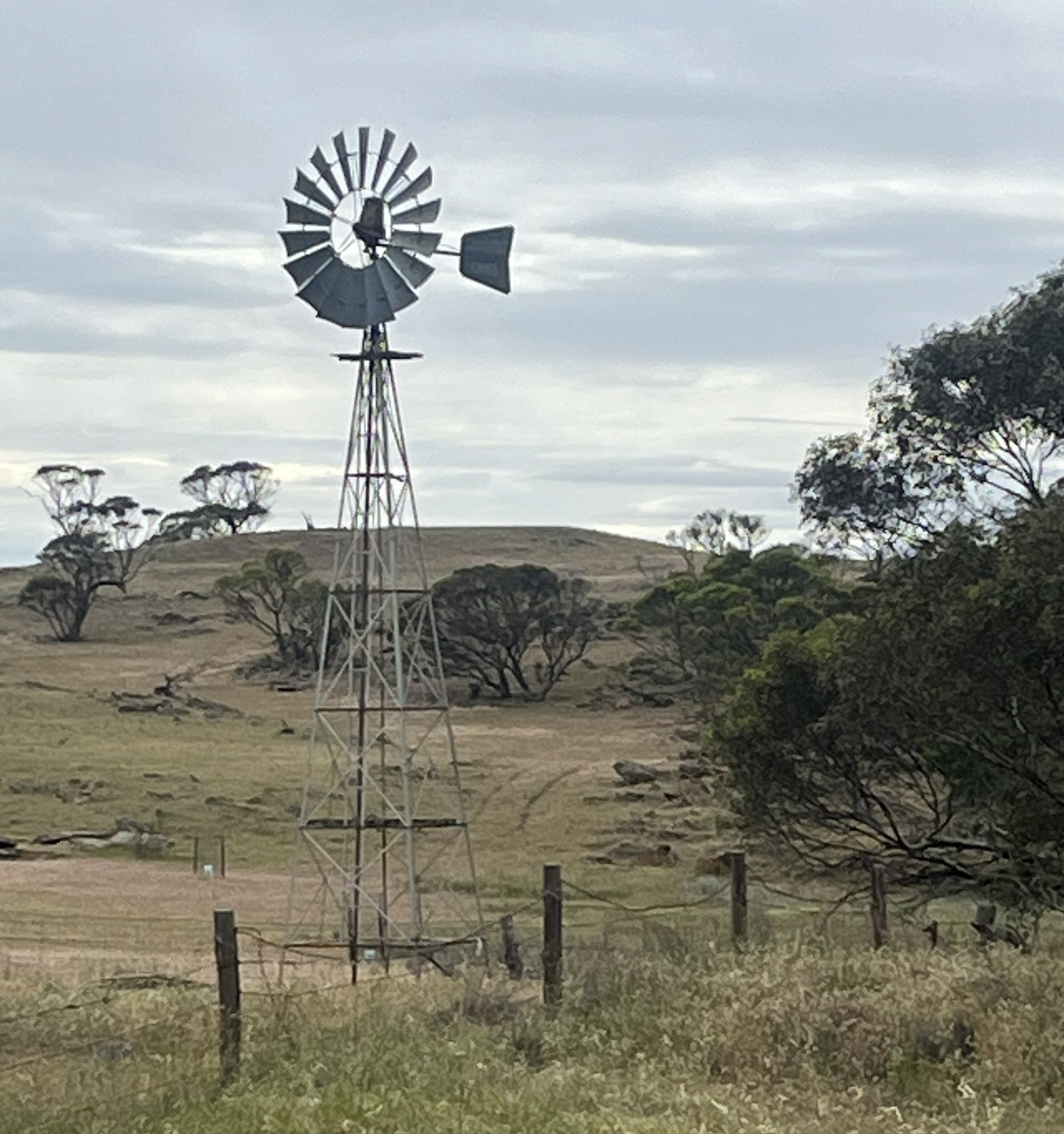 Windmill on a rural hillside under cloudy skies, with trees and a fence in the foreground.