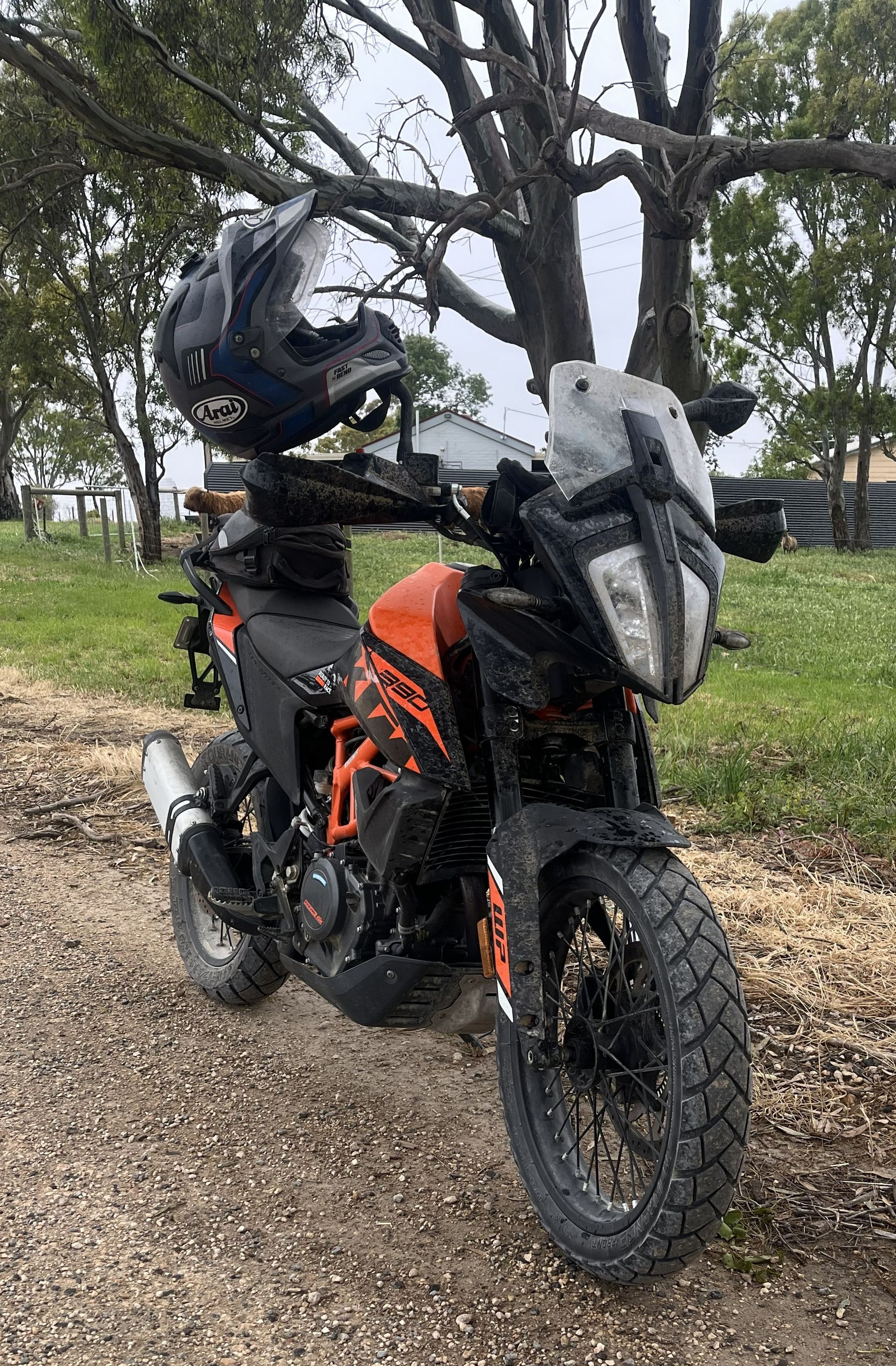 Black and orange adventure motorcycle parked on a dirt path under trees, with a rear cargo rack loaded.