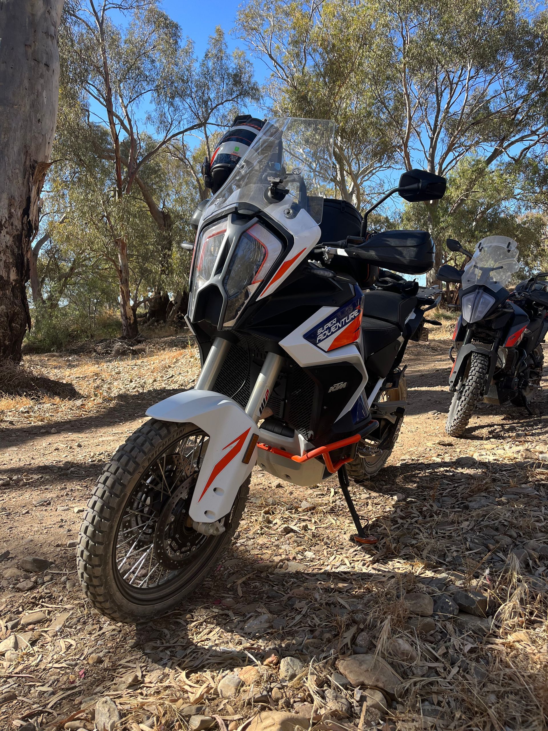 Two adventure motorcycles parked on a dry, wooded trail, one with a windshield and black-white-red livery.
