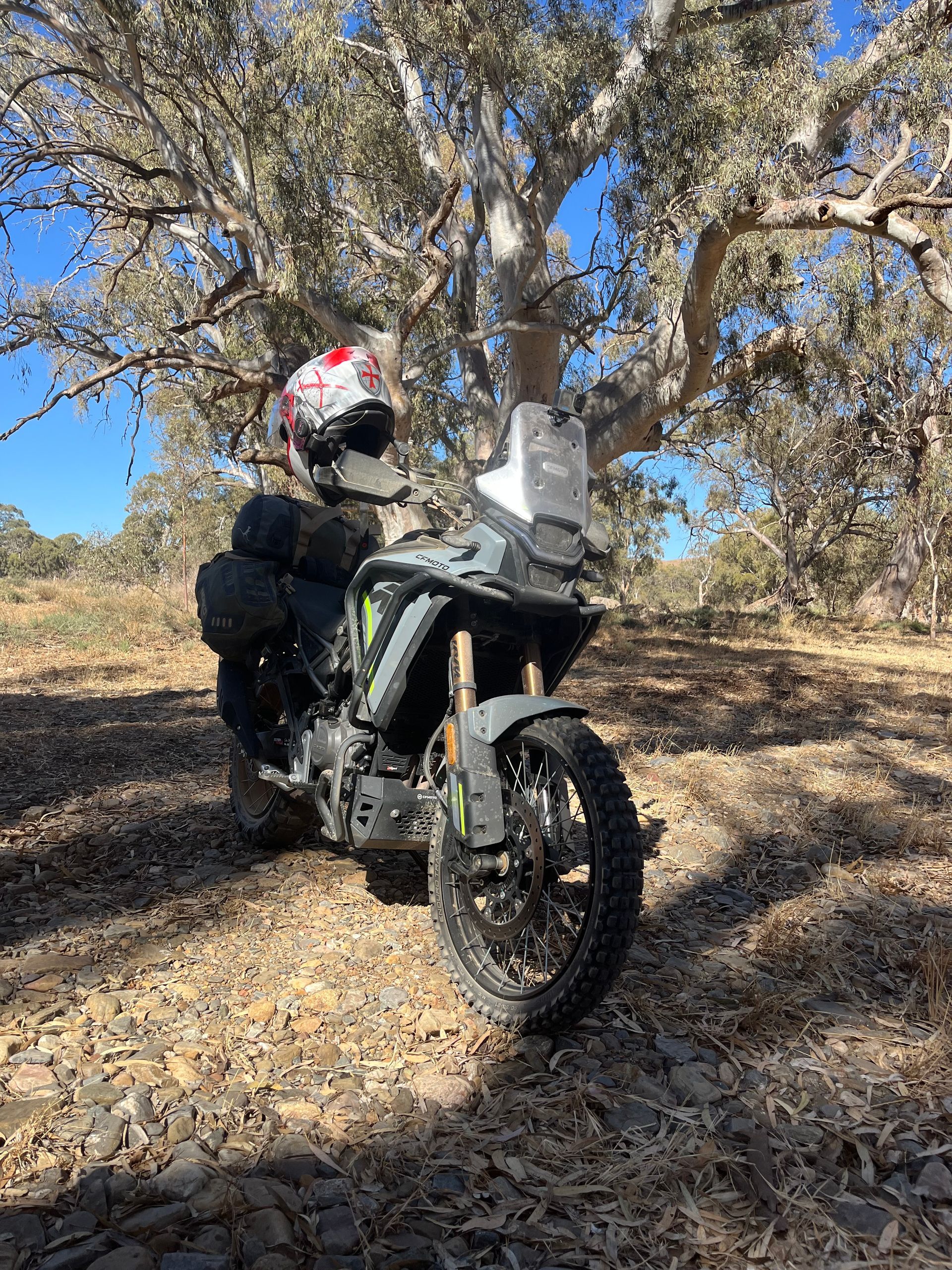 Motorcyclist on a dirt bike in a dry wooded area, wearing a helmet and riding gear.