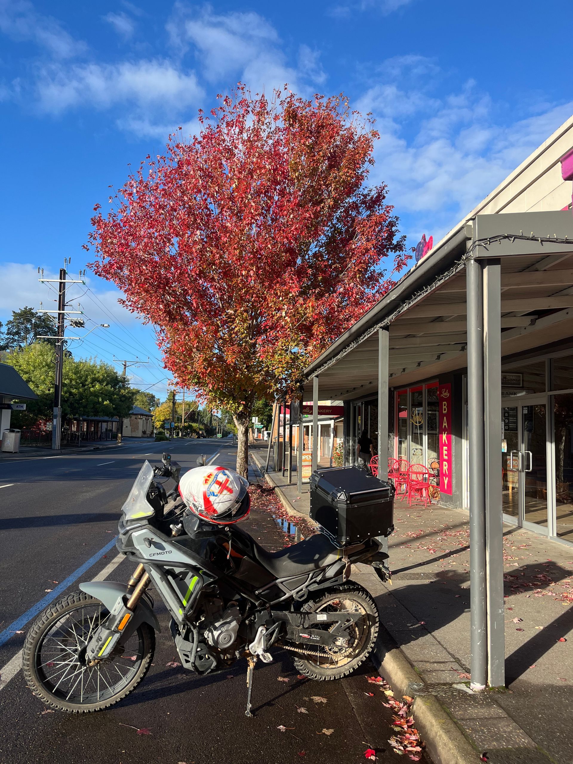 Motorcycle parked outside a storefront under a red autumn tree on a sunny street