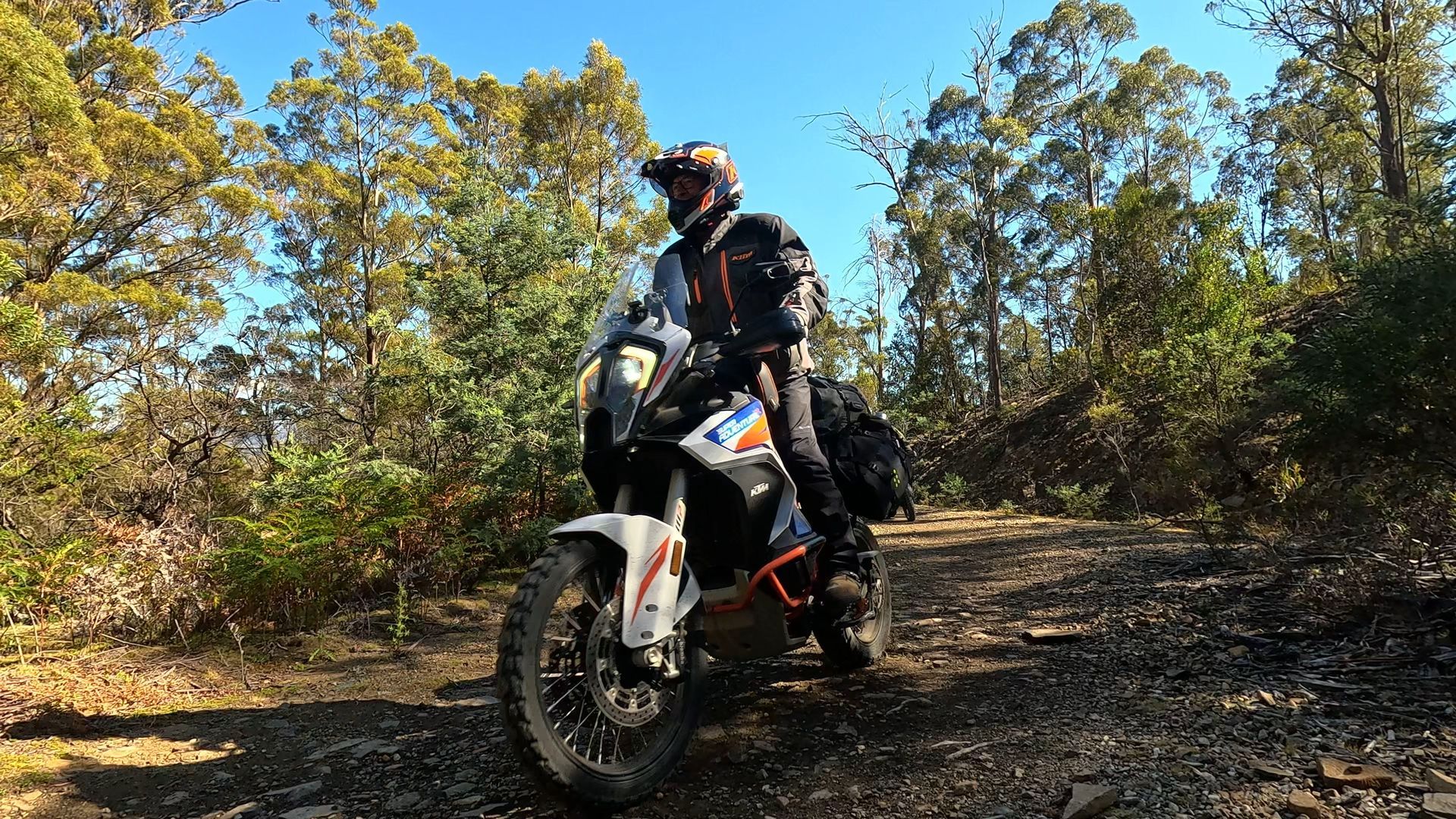 Motorcyclist riding a dirt bike on a wooded trail under bright sunlight