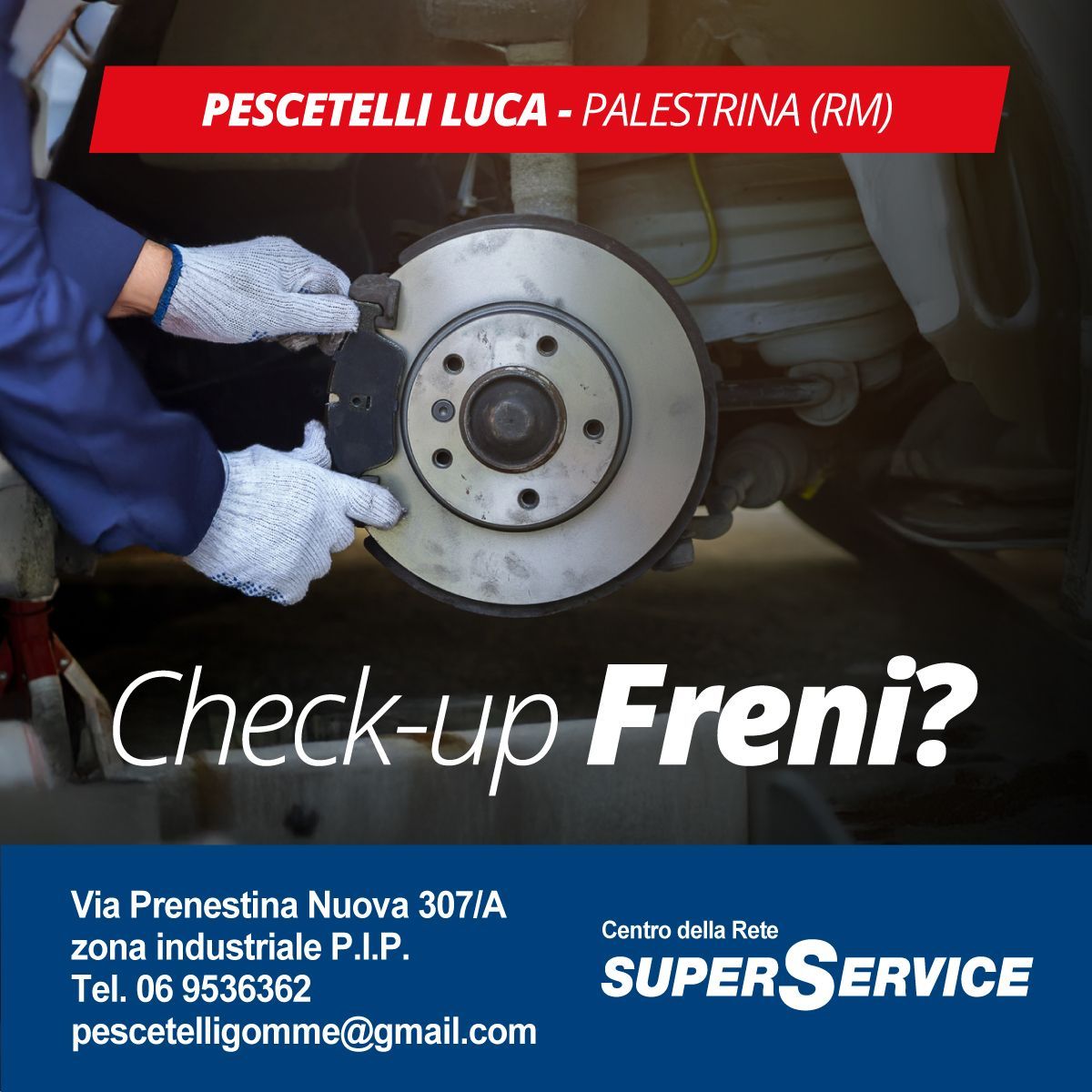 Check-up Freni