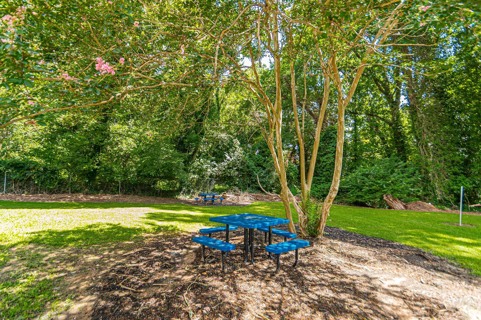 Blue picnic table and benches under a tree in a sunny park clearing