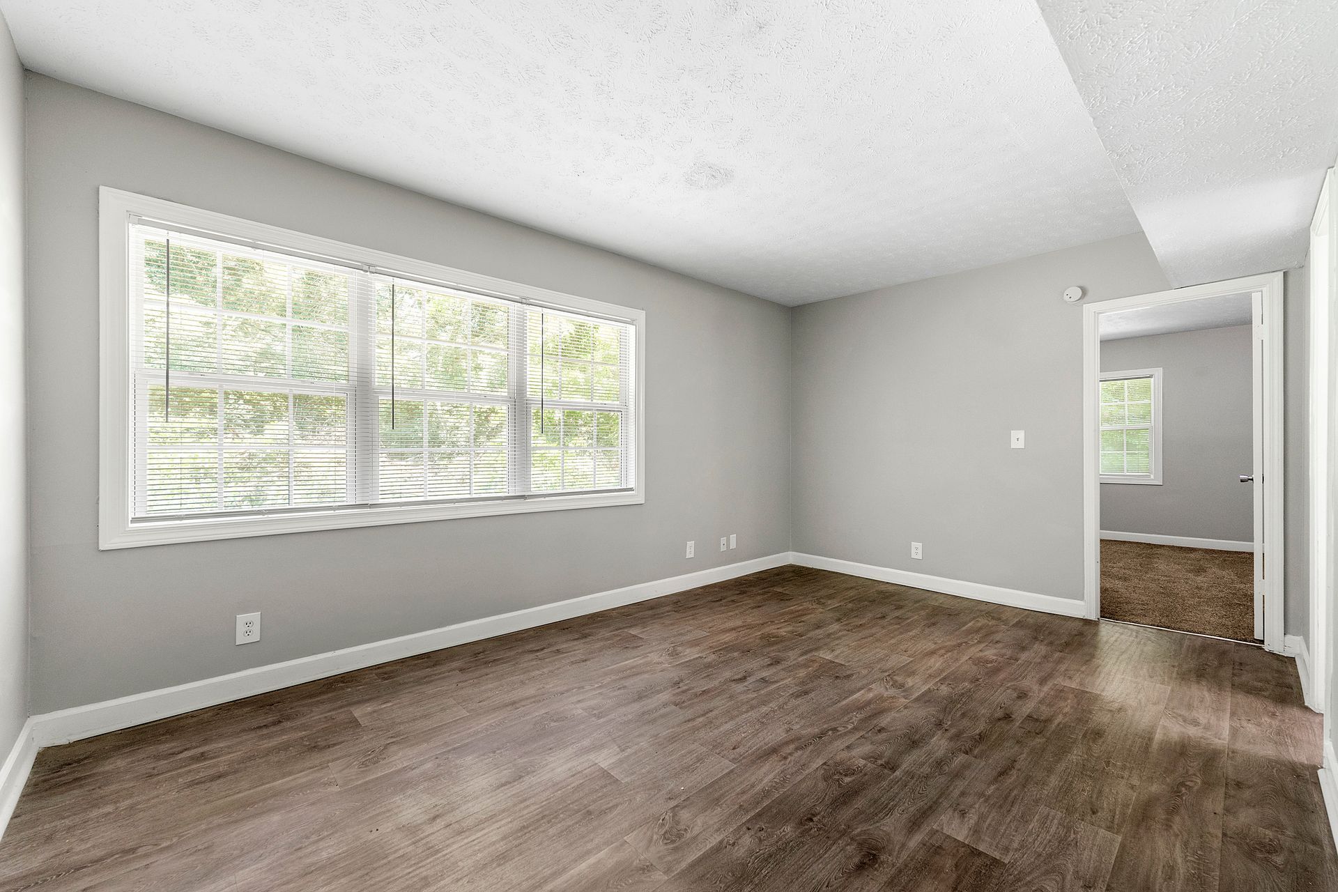 Empty gray living room with large window, wood floor, and doorway to hallway