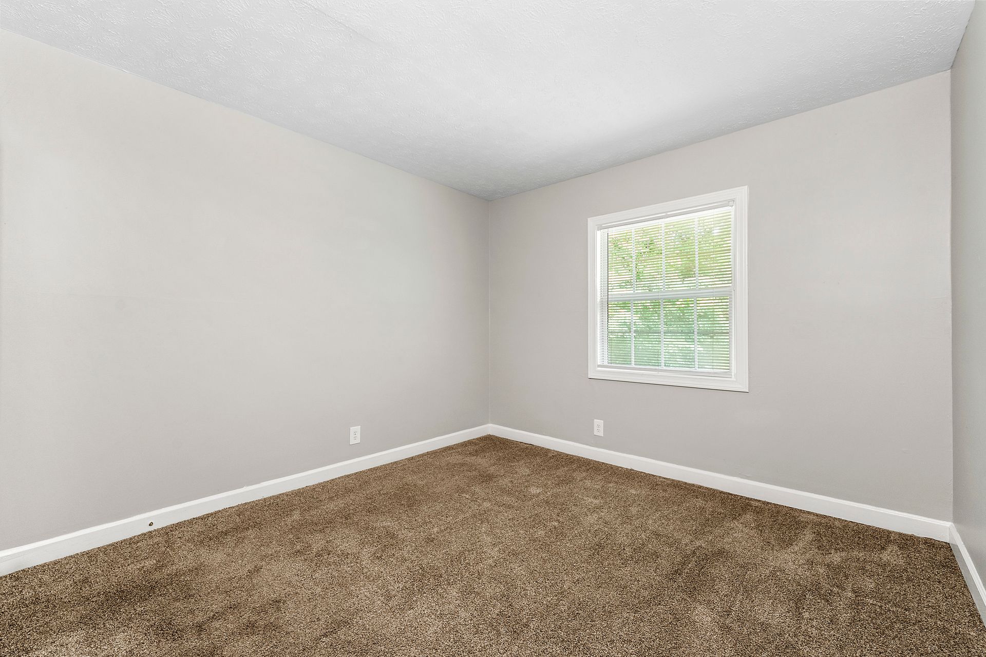 Empty beige carpeted room with light gray walls and a small window with blinds.