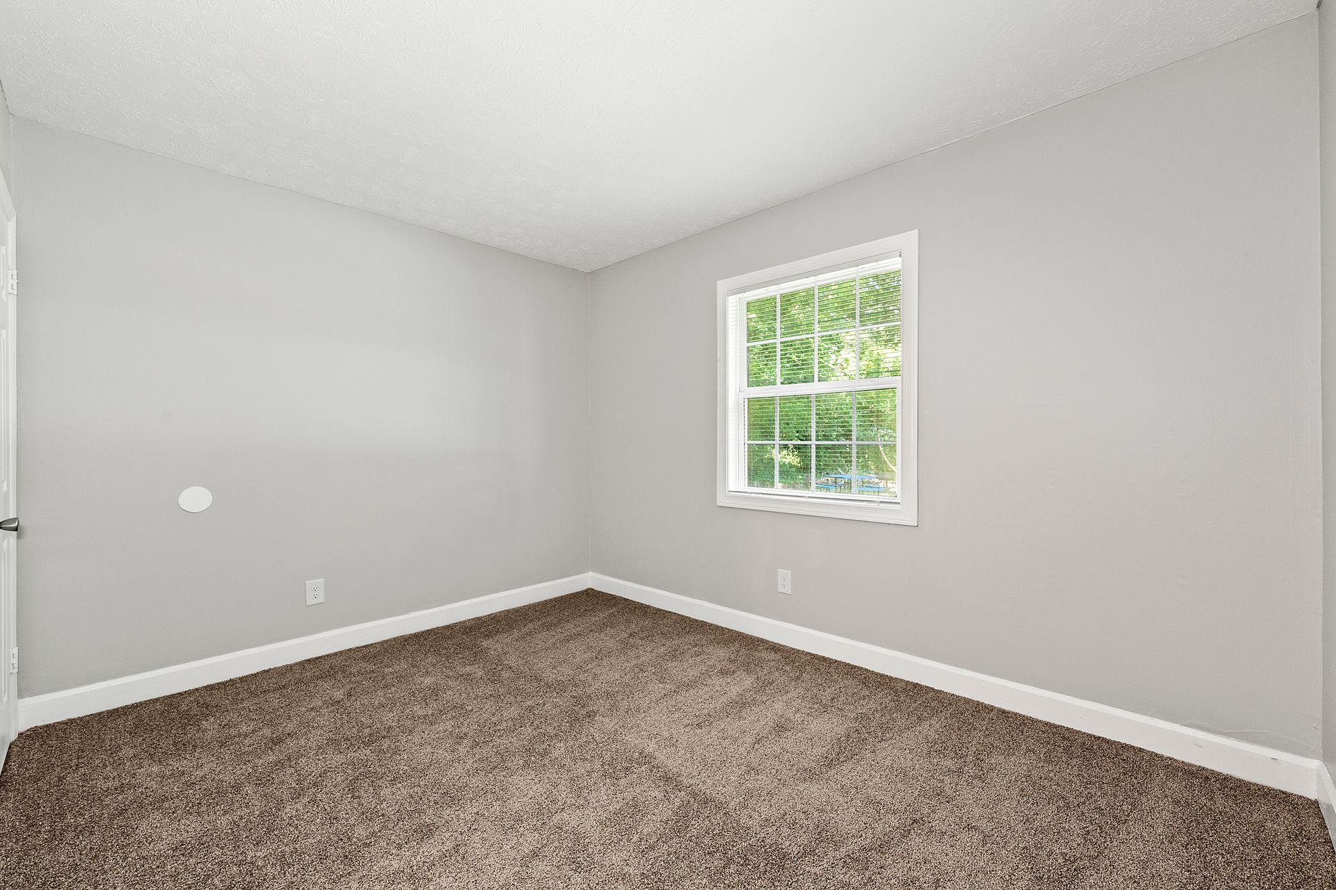 Empty carpeted bedroom with gray walls and a window letting in natural light