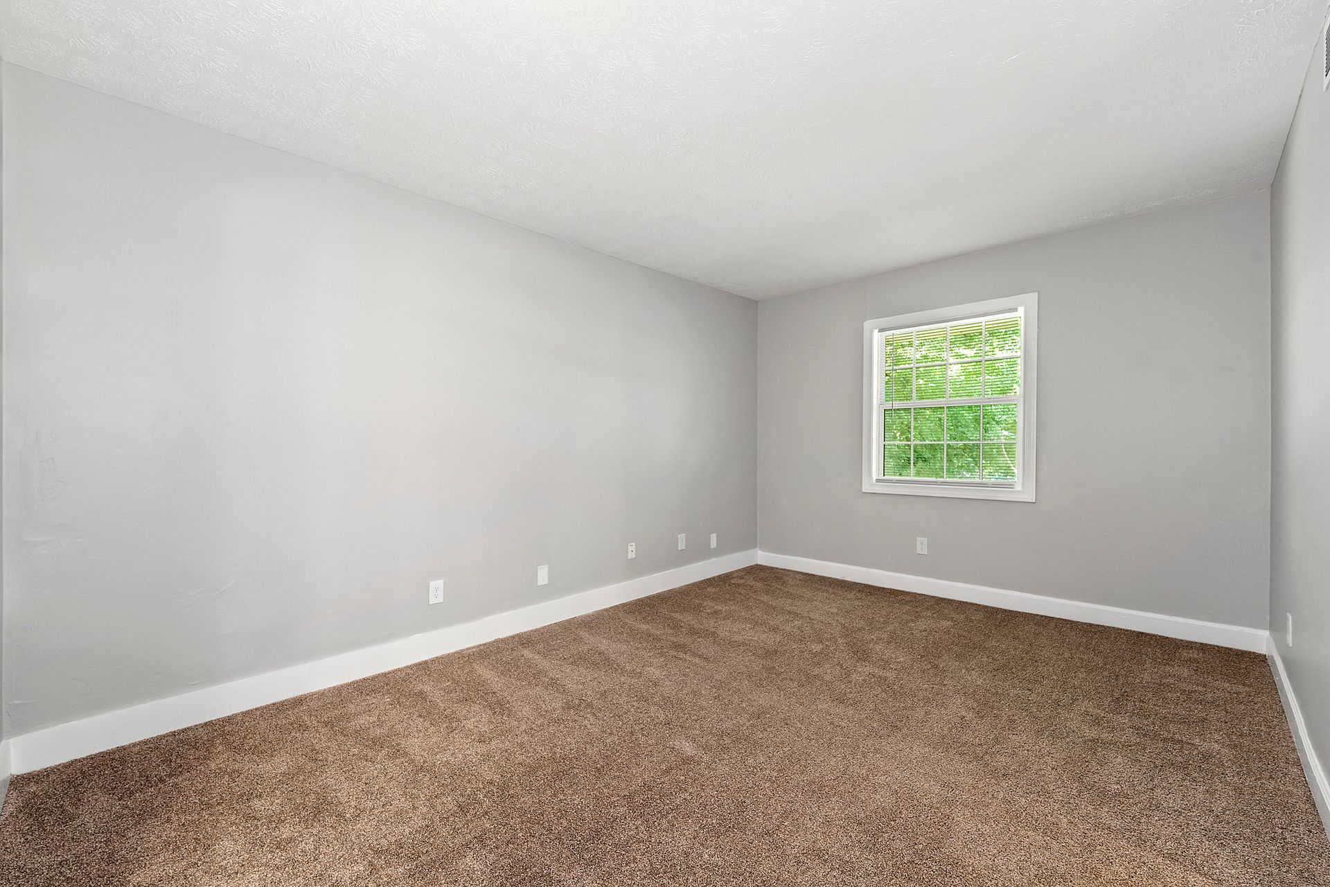 Empty carpeted room with gray walls and a small window showing green trees.