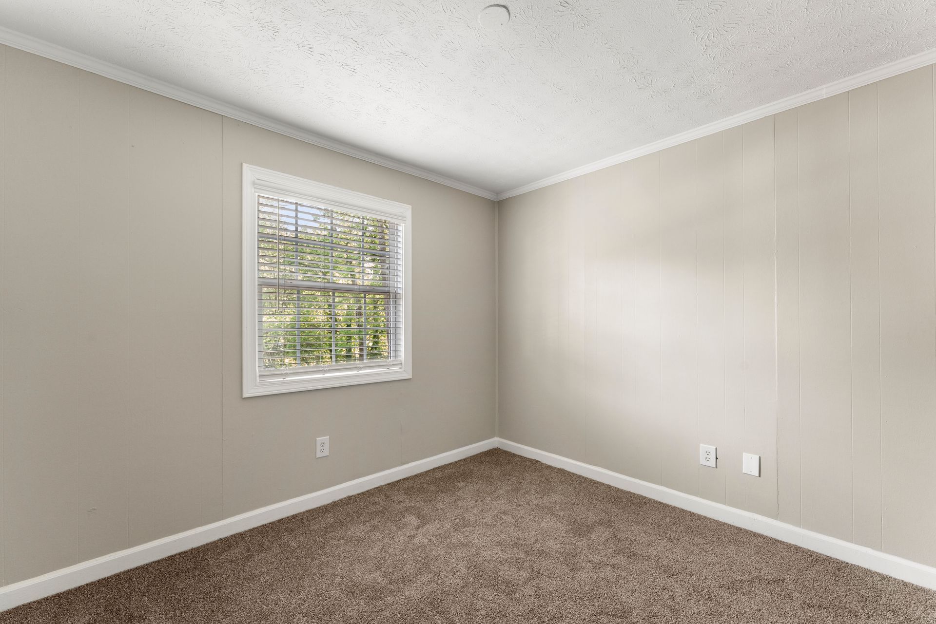 Empty beige bedroom corner with carpet and a window with blinds