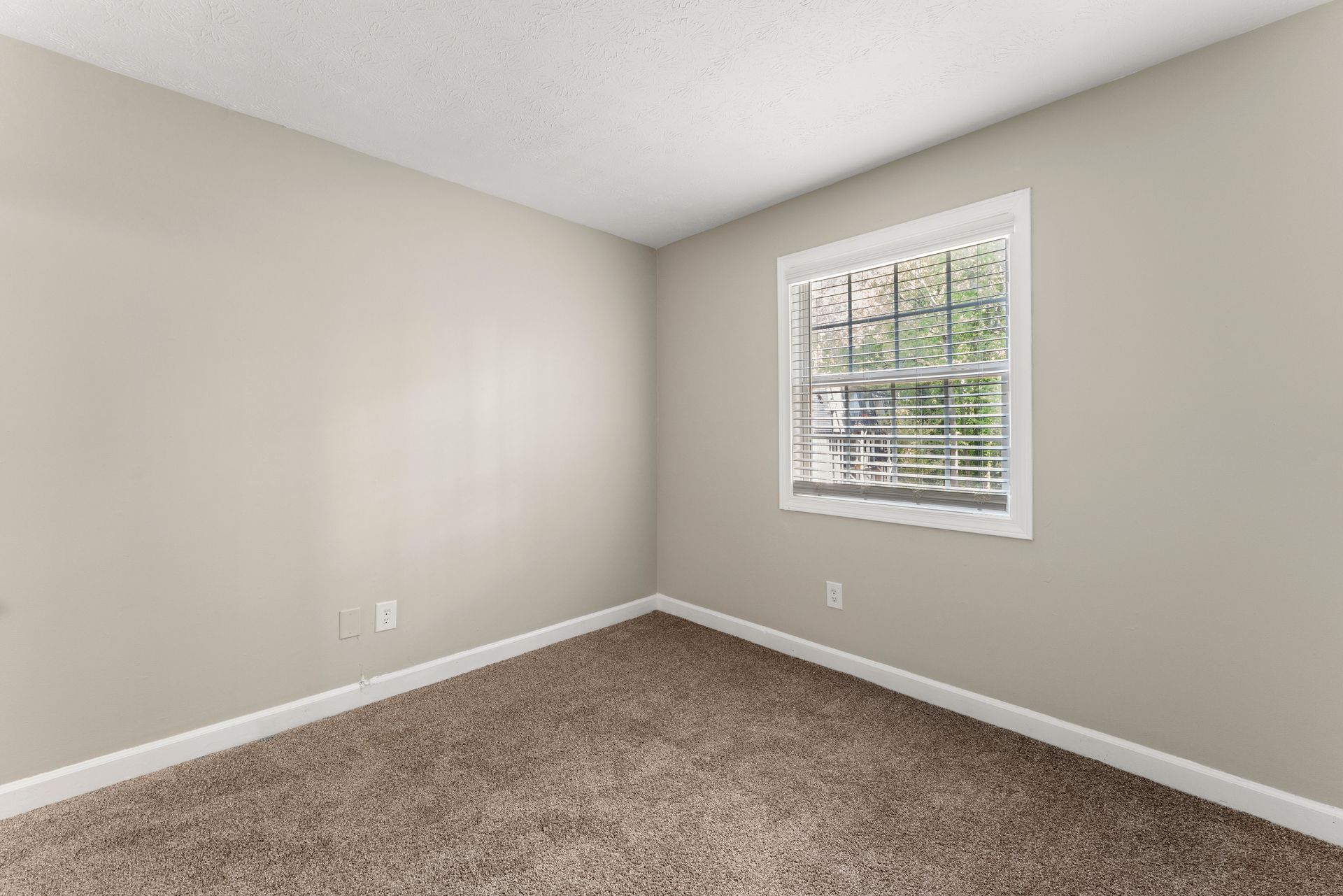 Empty beige carpeted room with light gray walls and a window with white blinds