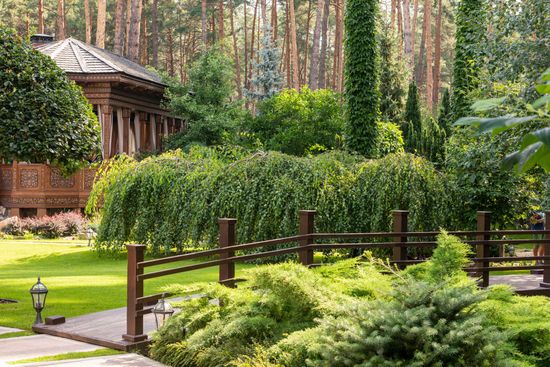 Lush garden with trimmed shrubs, wooden fence, and a small rustic building among tall trees