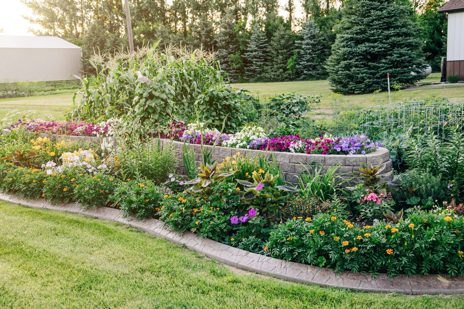 Colorful flower beds and shrubs arranged in a landscaped garden along a curved stone border