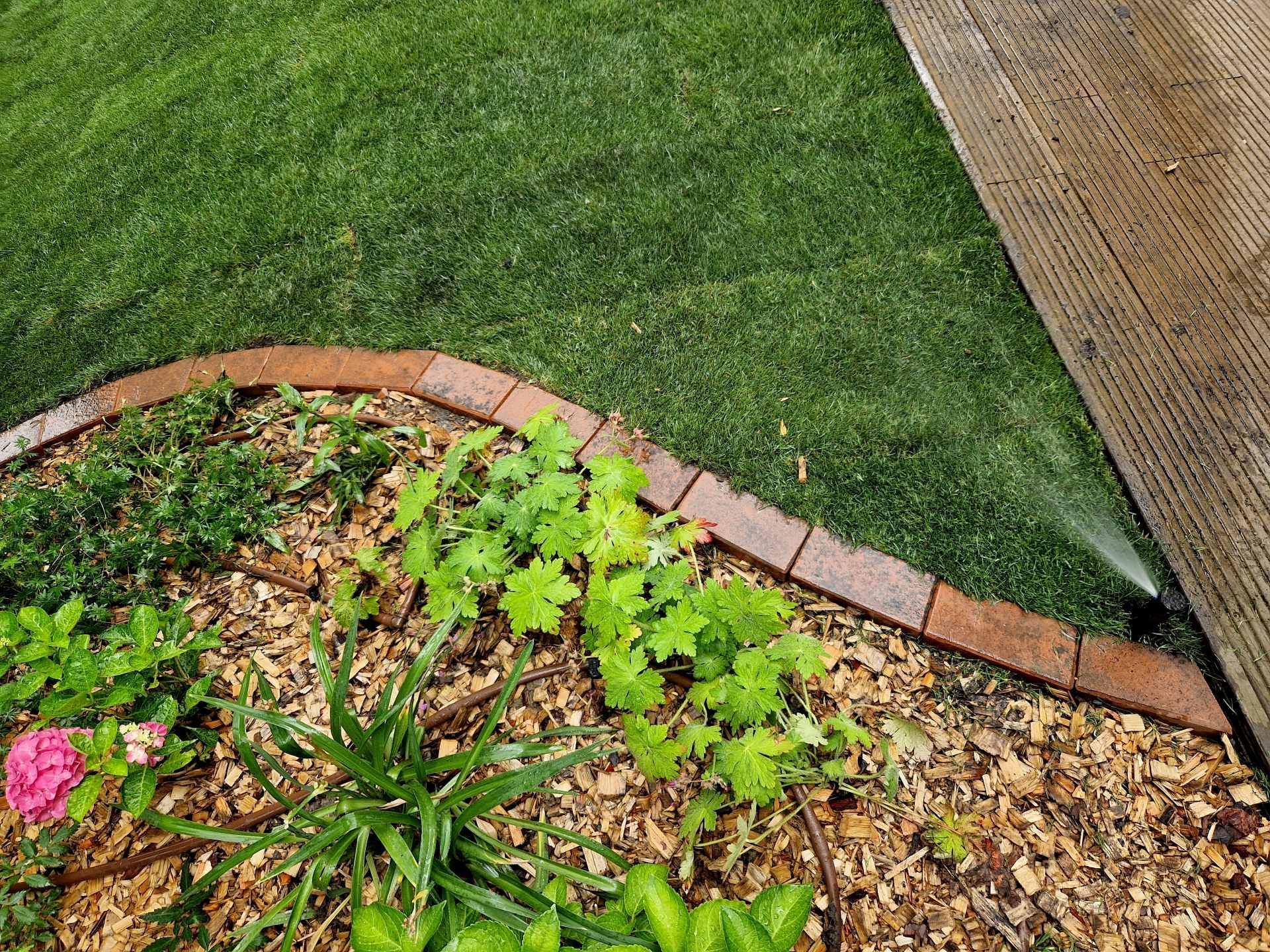 Curved garden bed with mulch and green plants beside a lawn and woven walkway edge
