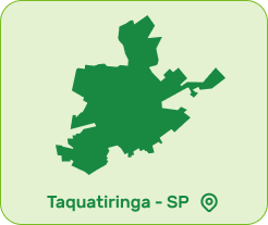 produção Limão