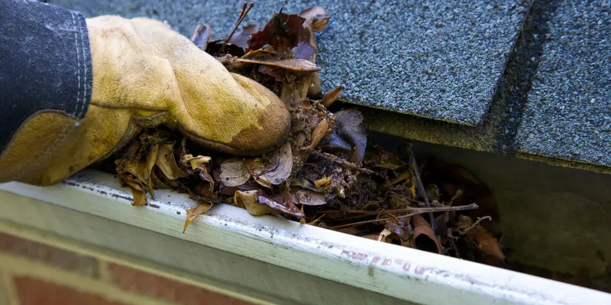 A person is cleaning a gutter with a vacuum cleaner.