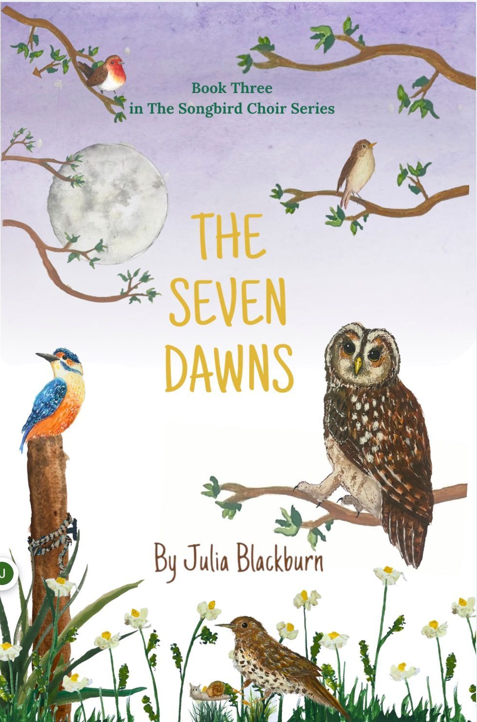 Julia Blackburn was longlisted for the Times / Chicken House Children's Fiction prize for her story now known as The Lost Dragonflies