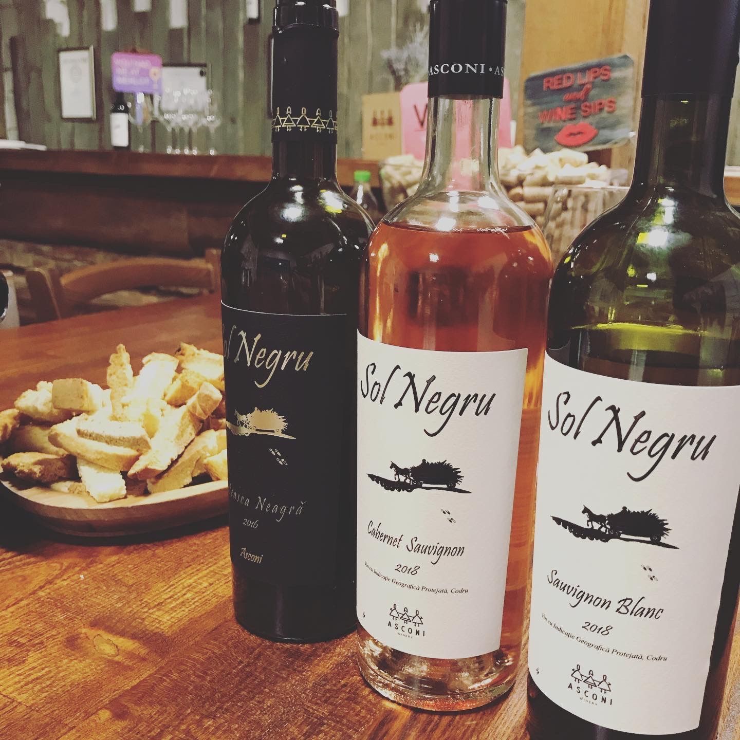 Wine tasting program at Asconi Winery