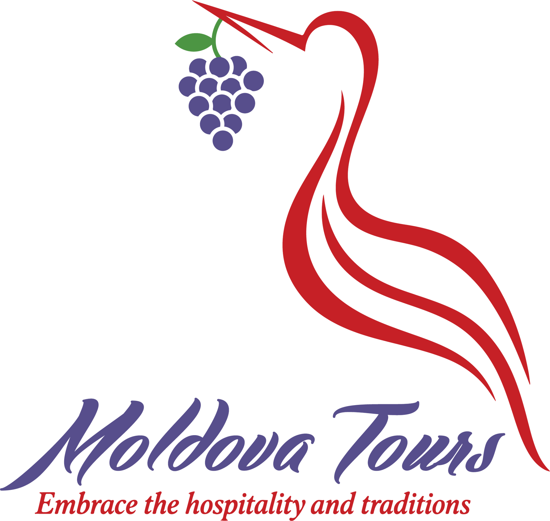 Moldova Tours logo
