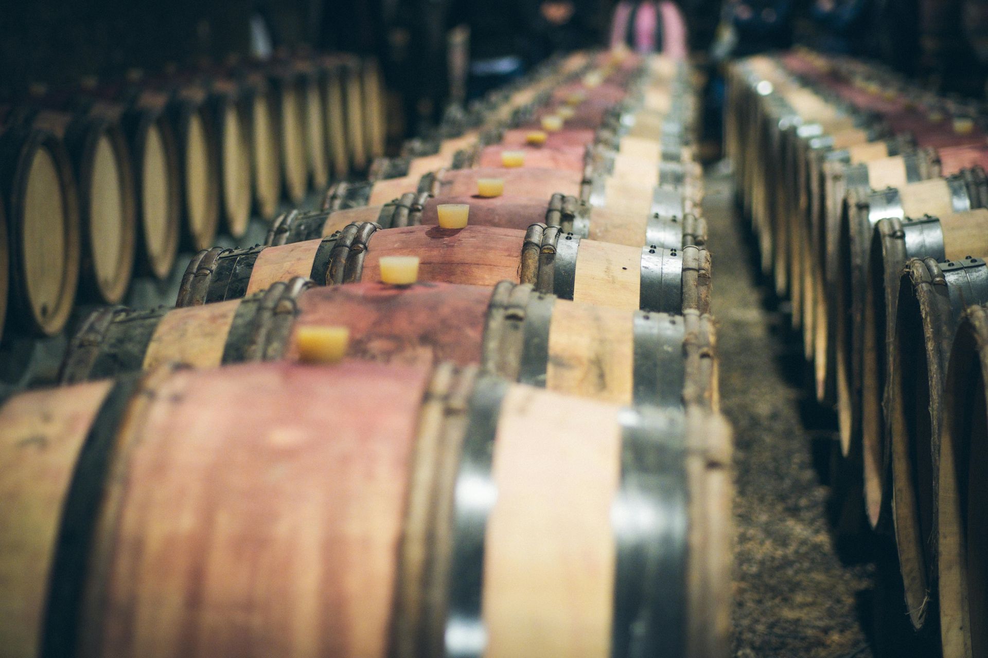 A wine tour at Castel MIMI WInery