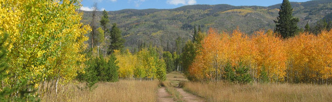 Stage Coach Property Owners Association | Board of Directors