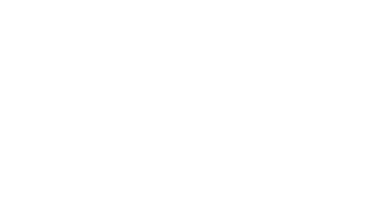 Blank white screen with a thin black horizontal line near the bottom.