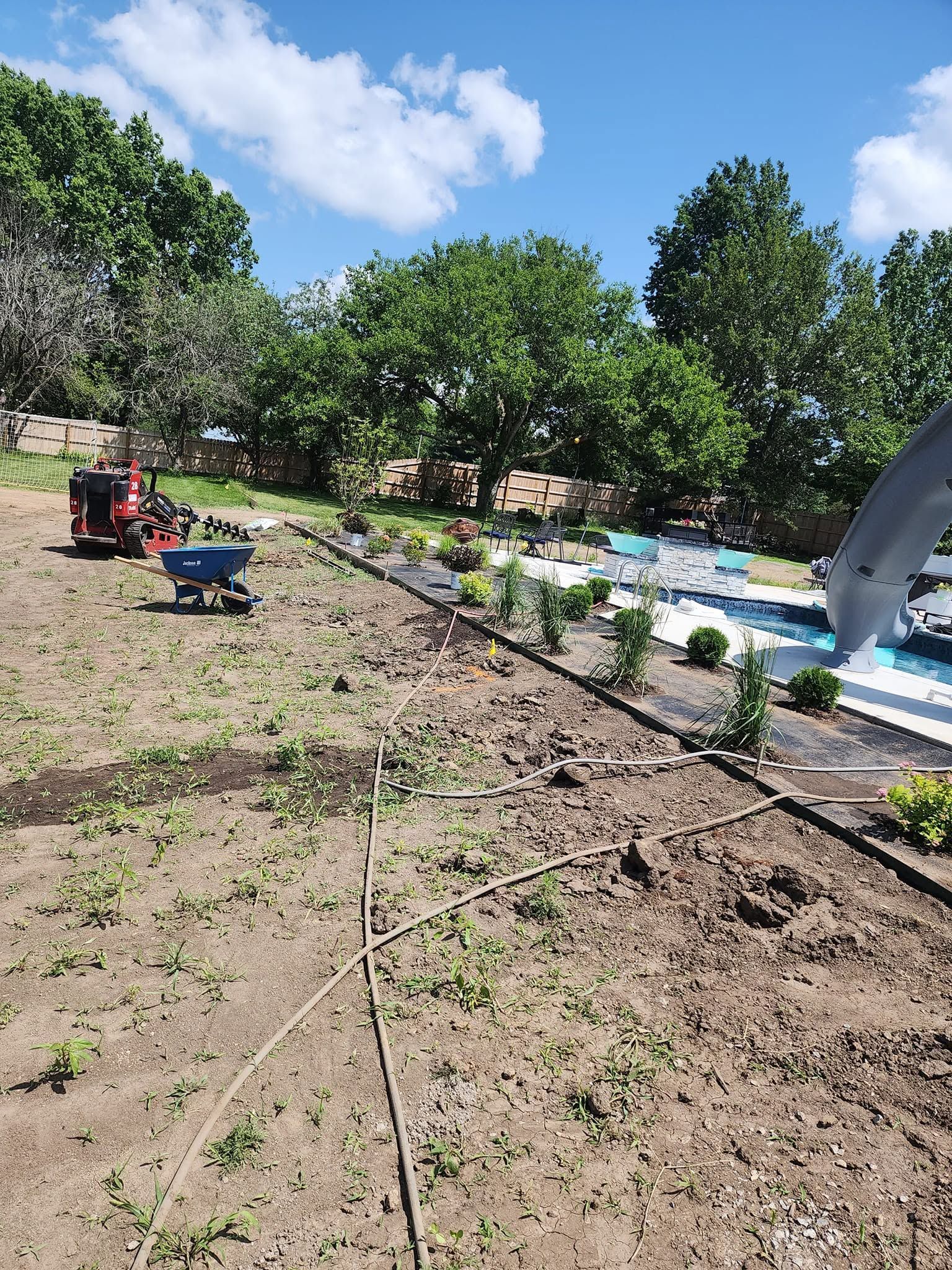 Sunny garden with rows of young plants, trees, and colorful wheelbarrows near a pool or pond