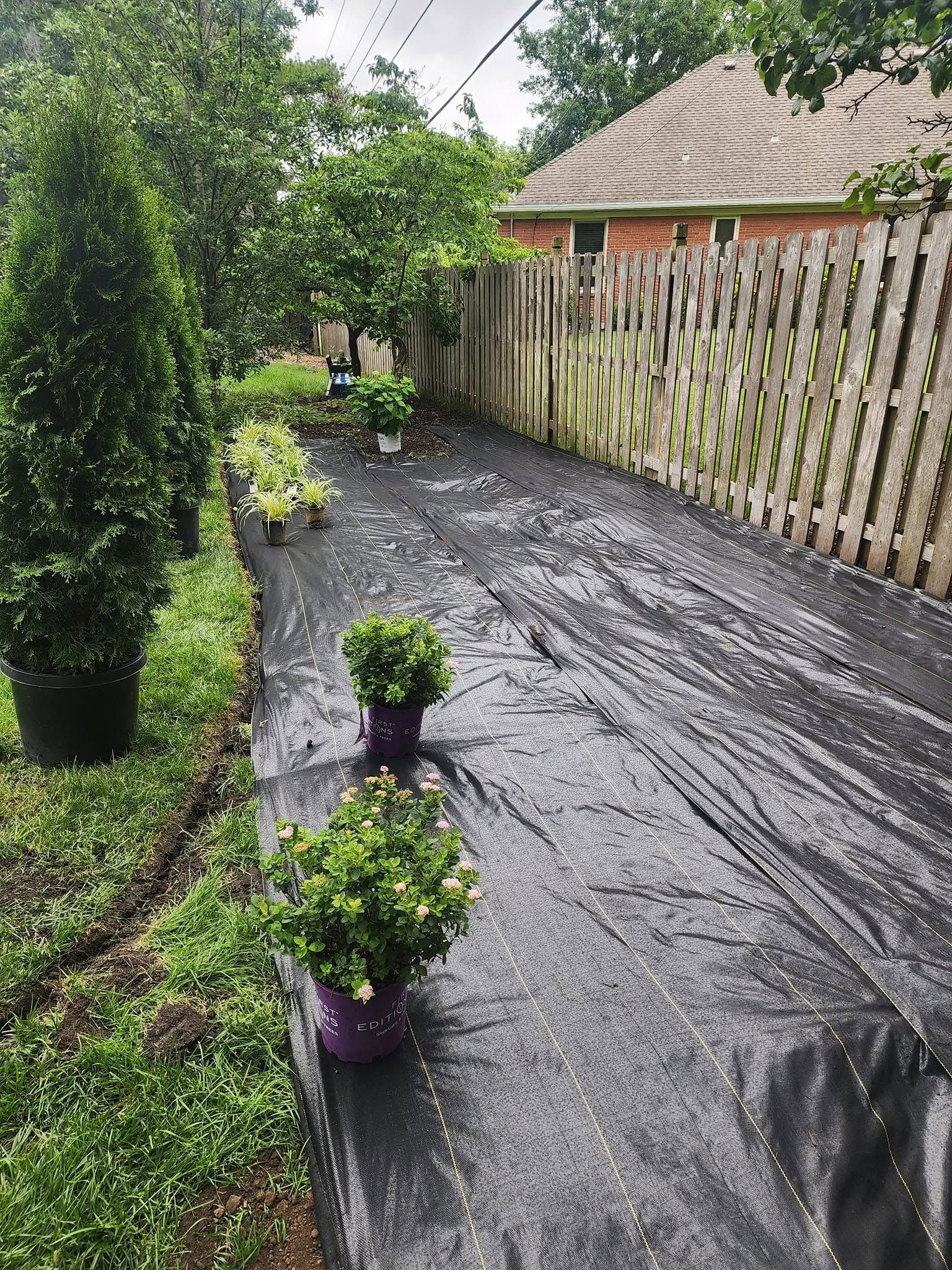 Rainy backyard with black tarp walkway, potted plants, and a wooden fence beside a house