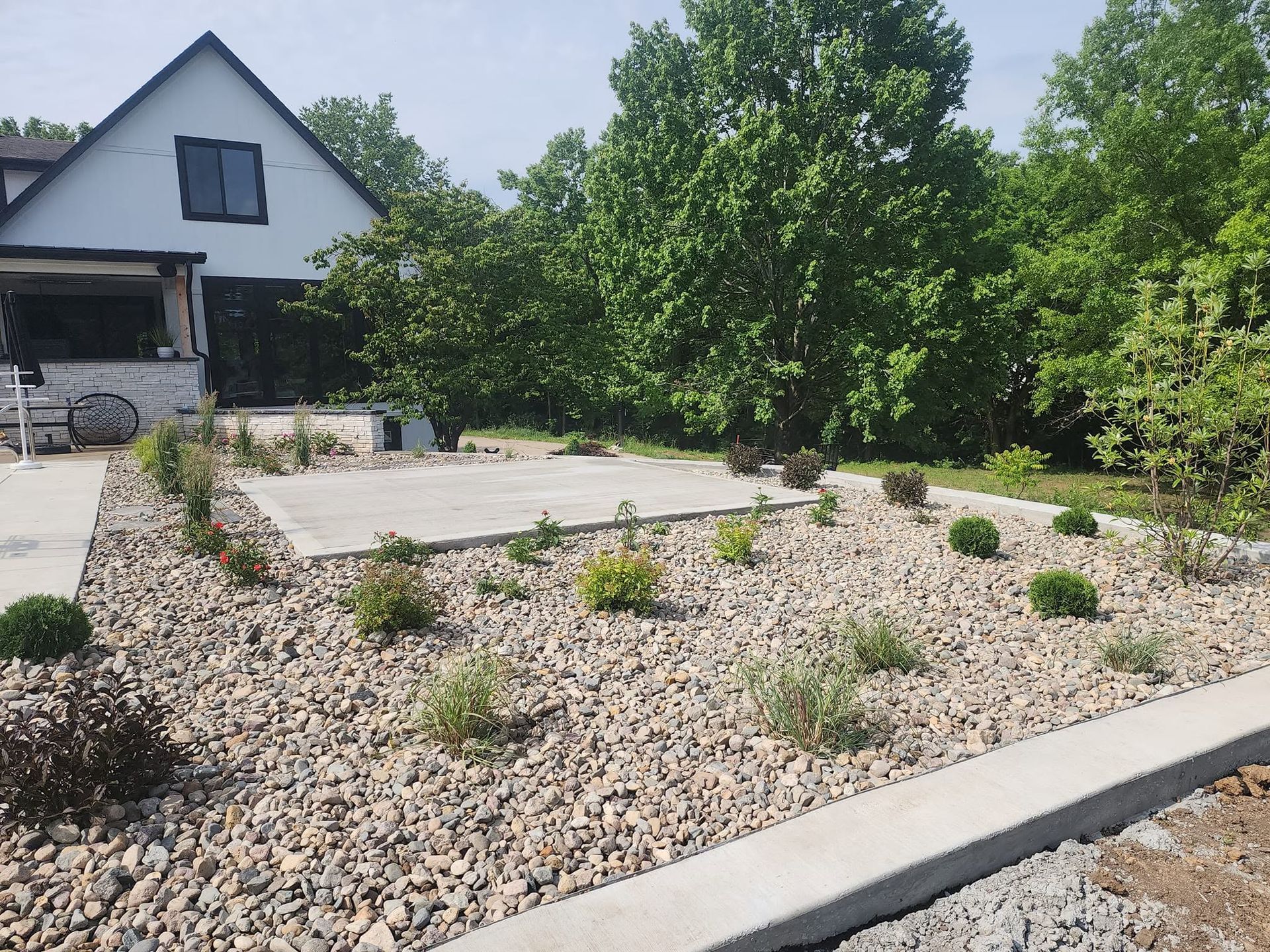 Gravel landscaping with young shrubs beside a white house and driveway, bordered by trees under a clear sky