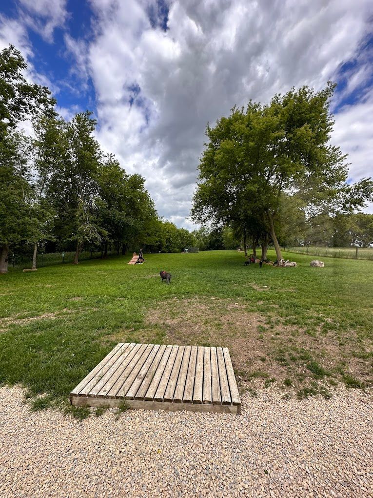 A wooden pallet is sitting in the middle of a grassy field.