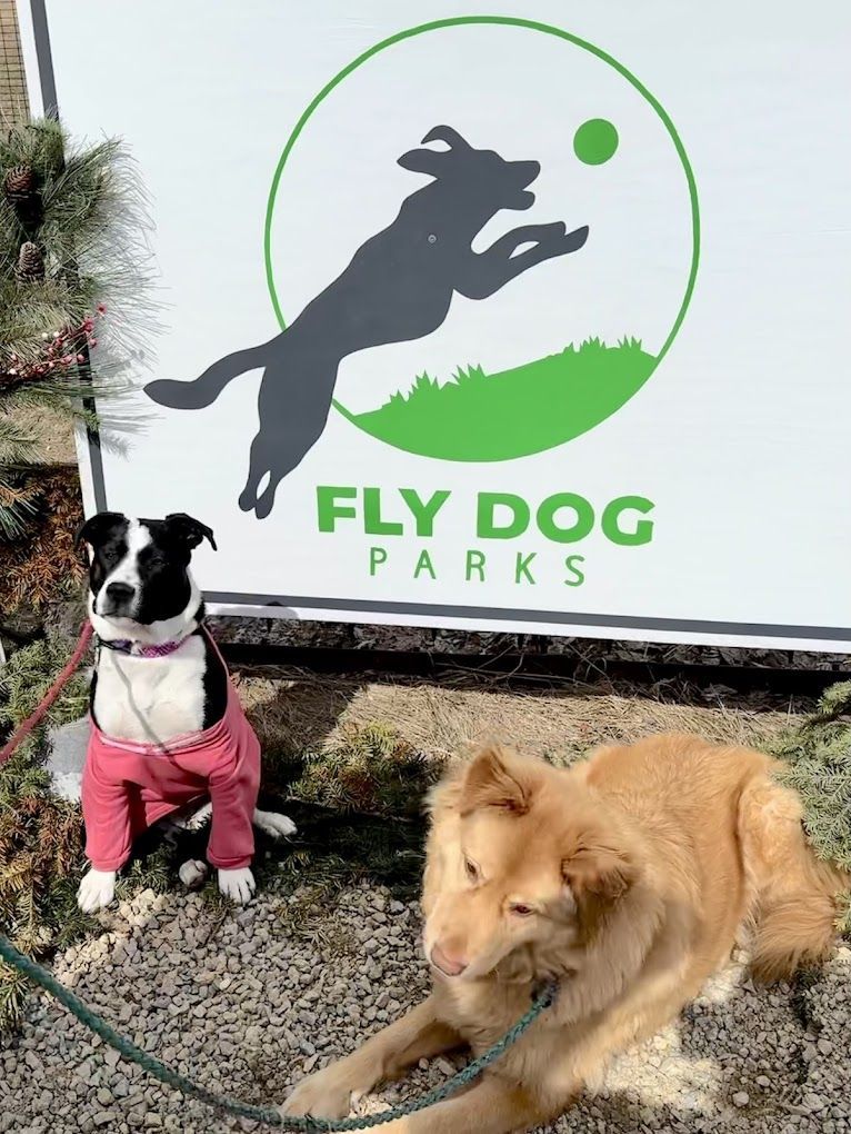 Two dogs are standing in front of a sign for fly dog parks.