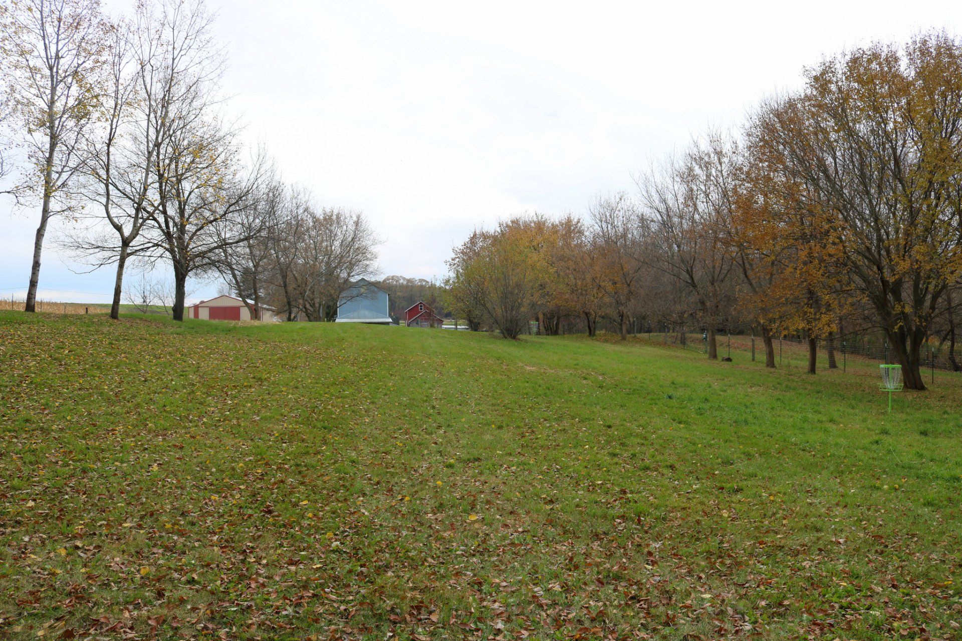 A large grassy field with trees in the background.