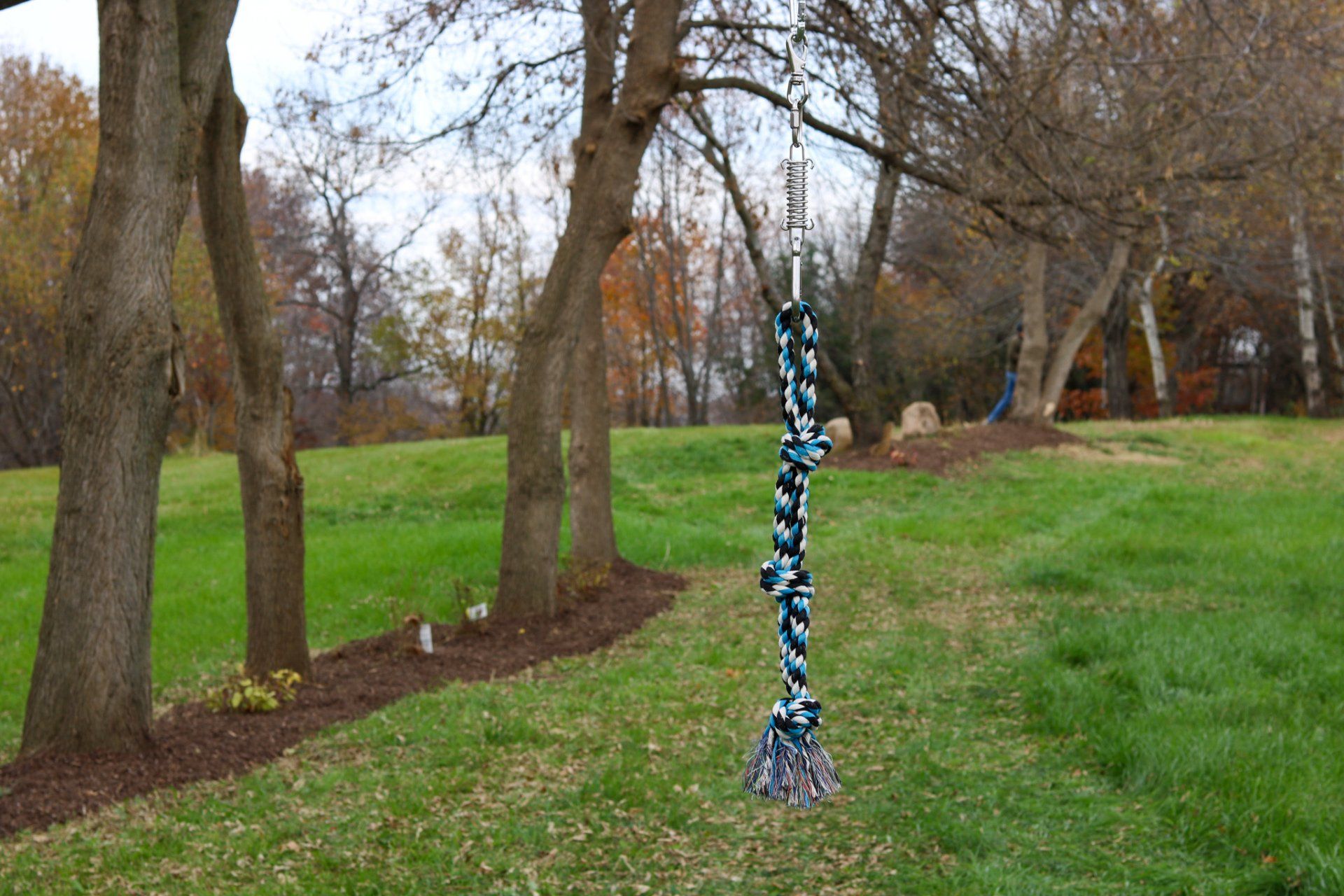 A dog toy hanging from a branch  in the middle of a grassy field with trees in the background.