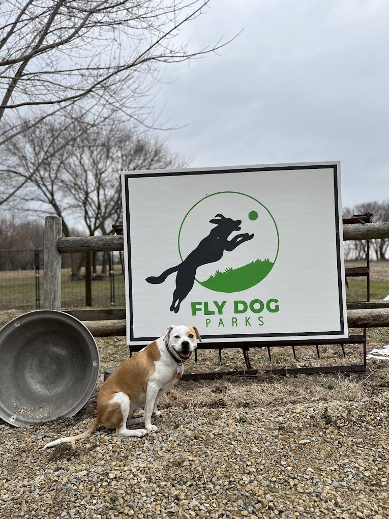 A dog is sitting in front of a sign for fly dog parks.