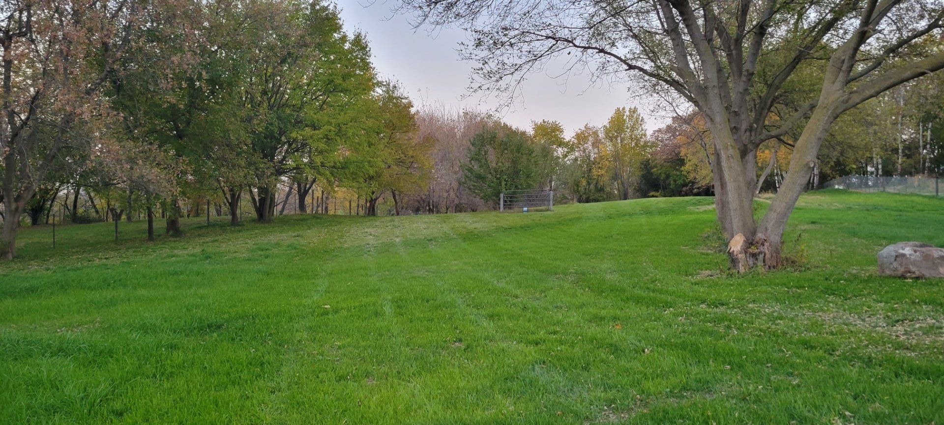 A large lush green field with trees in the background.