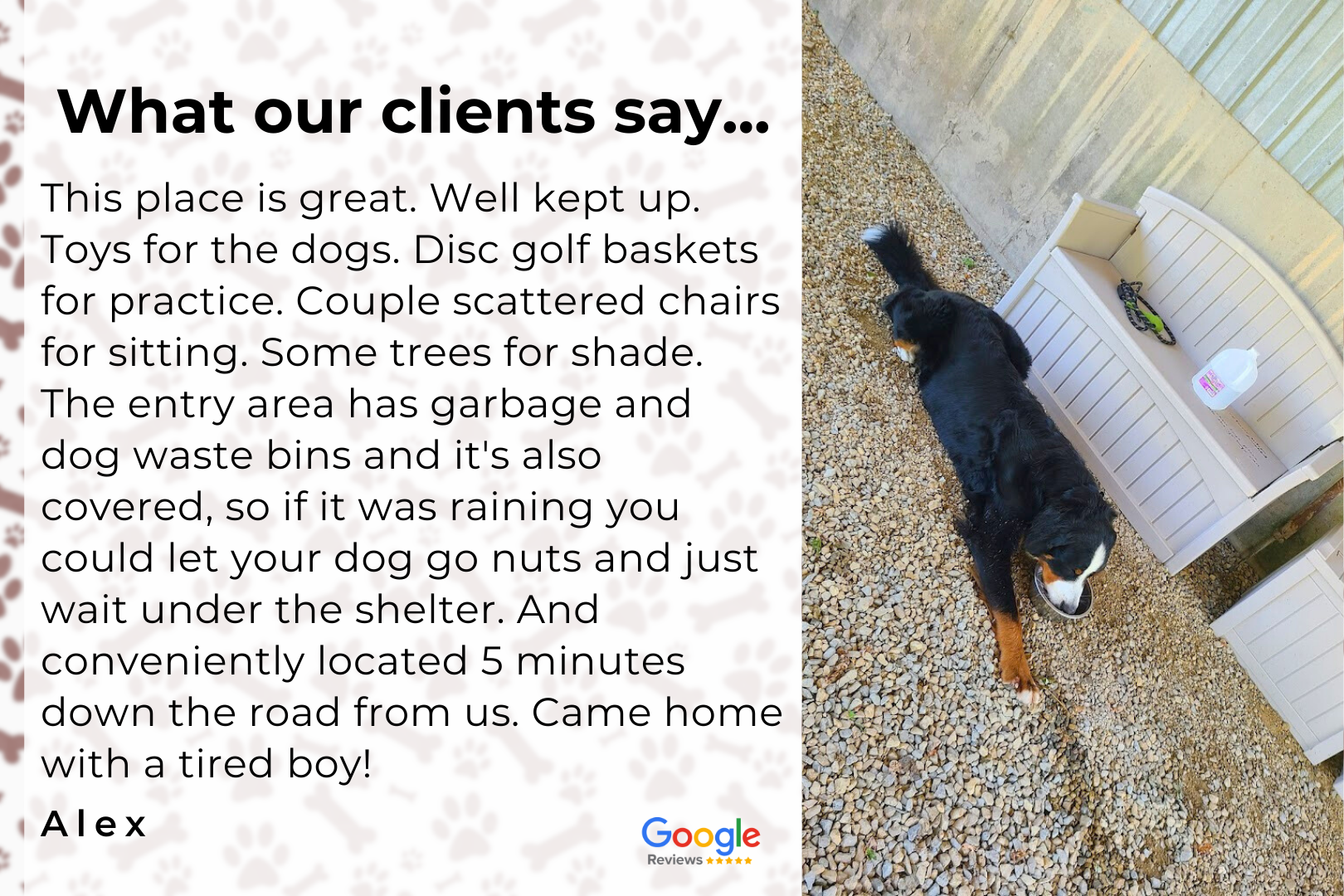 A dog is laying on the floor next to a sign that says what our clients say