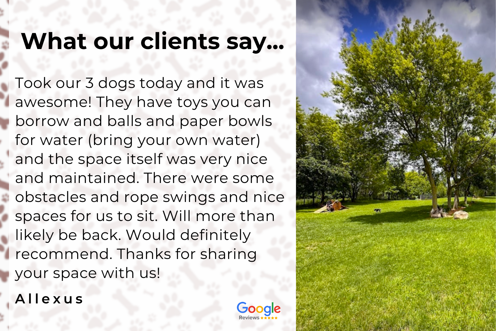 What our clients say took our 3 dogs today and it was awesome !