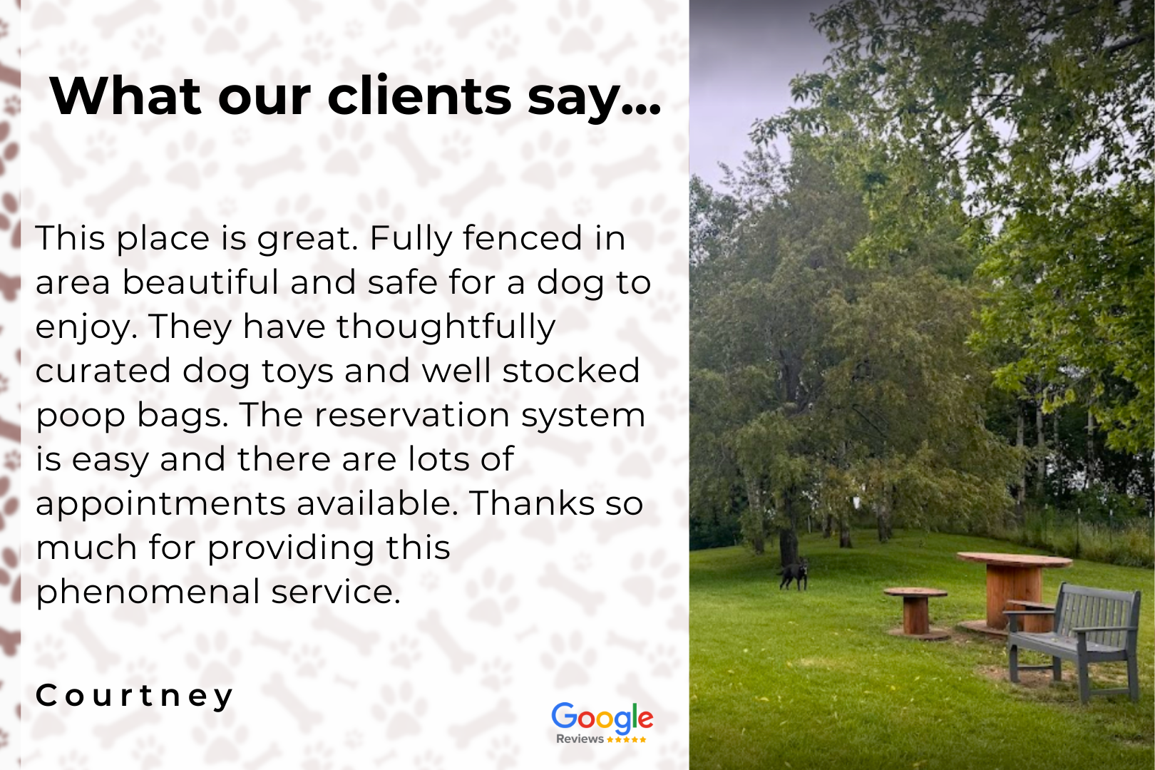 What our clients say ... this place is great . fully fenced in area beautiful and safe for a dog to enjoy.