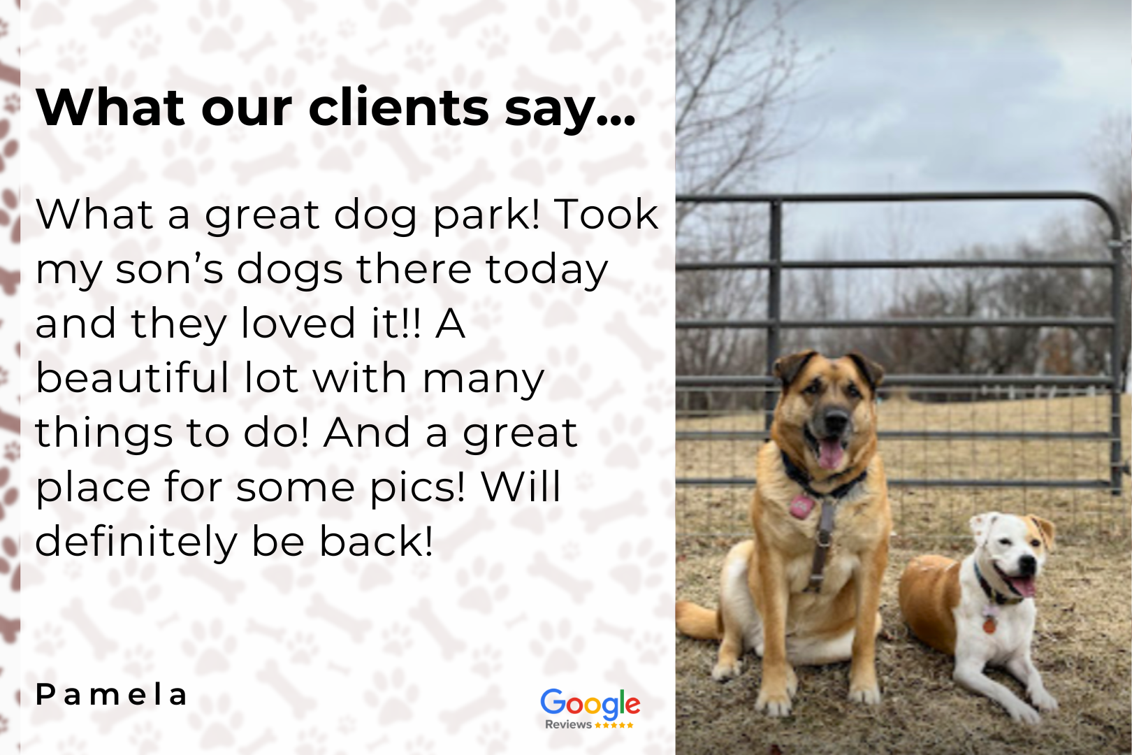 Two dogs are sitting next to each other in front of a fence.