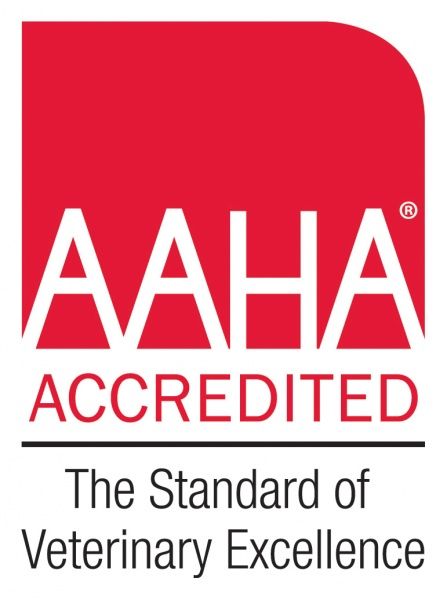 Why Choose an AAHA Accredited Practice