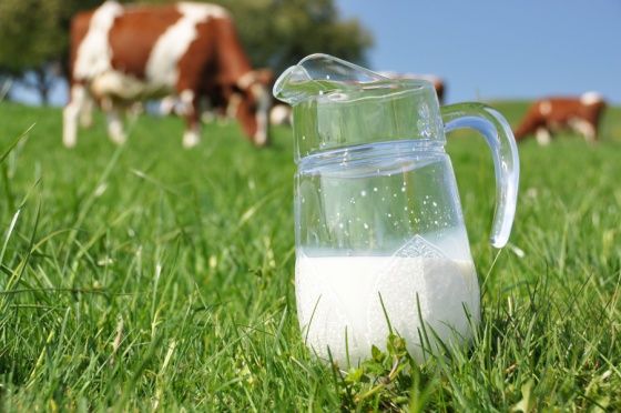 milk