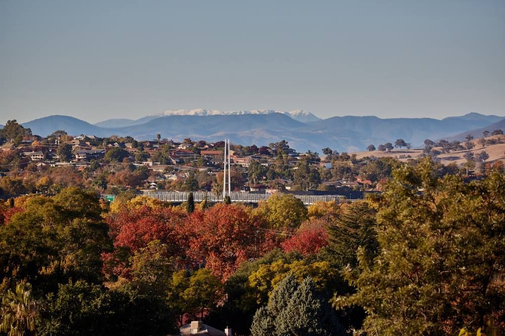 A City With Mountains in the Background and Trees in the Foreground — Brushworks Painting In Albury, NSW.