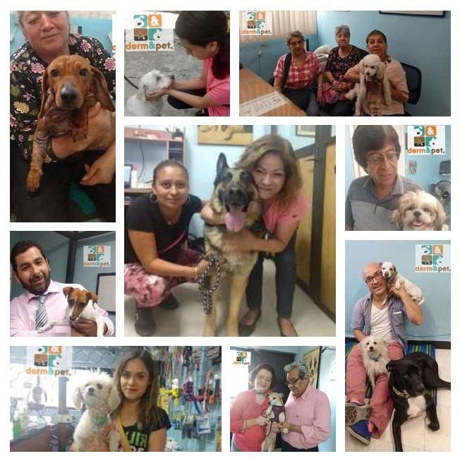 CLÍNICA VETERINARIA DERM & PET CLÍNICA VETERINARIA DERM & PET