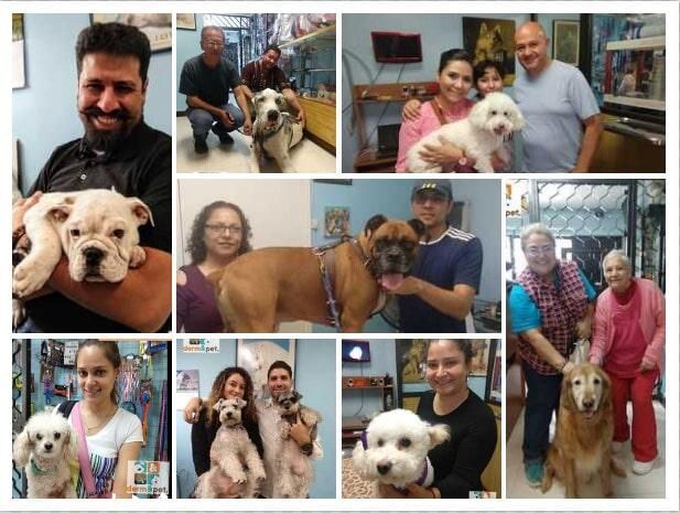 CLÍNICA VETERINARIA DERM & PET