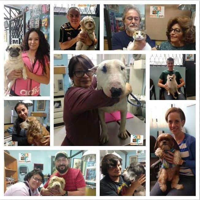 CLÍNICA VETERINARIA DERM & PET CLÍNICA VETERINARIA DERM & PET