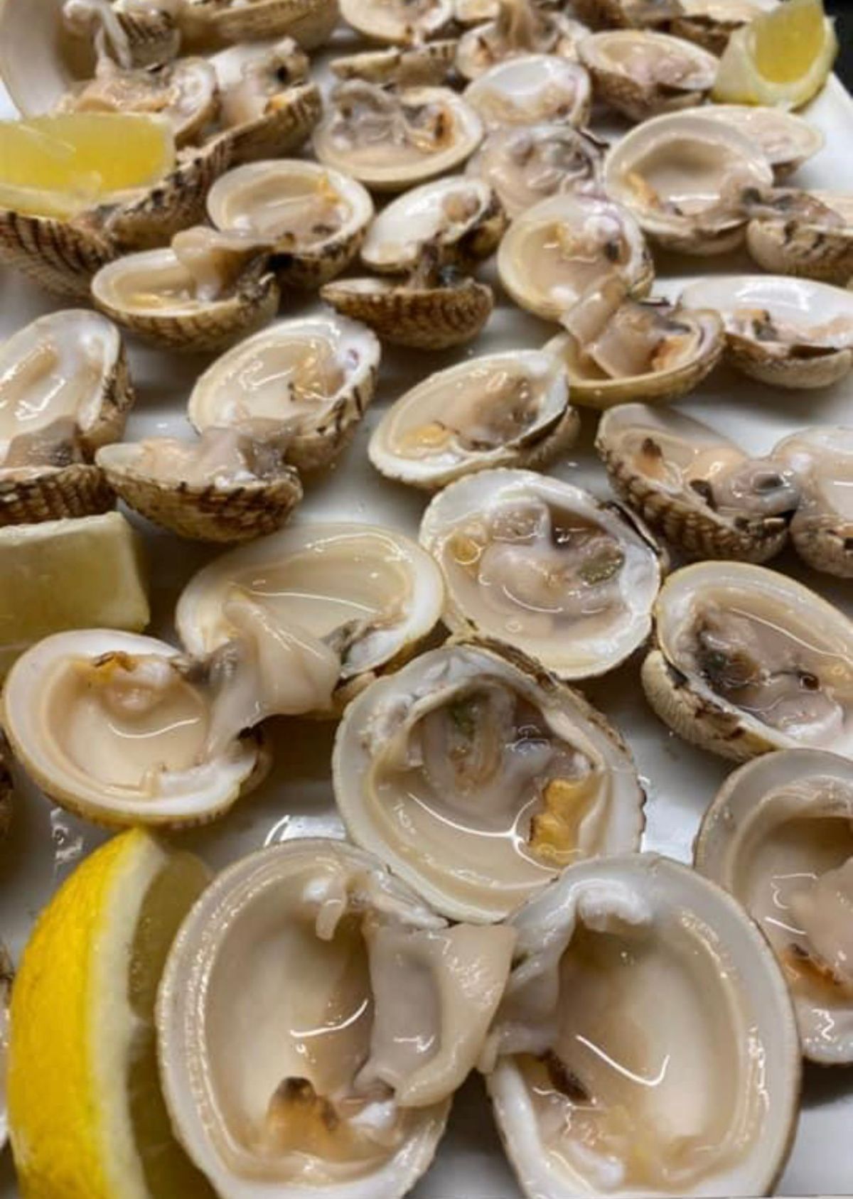 piatto di vongole