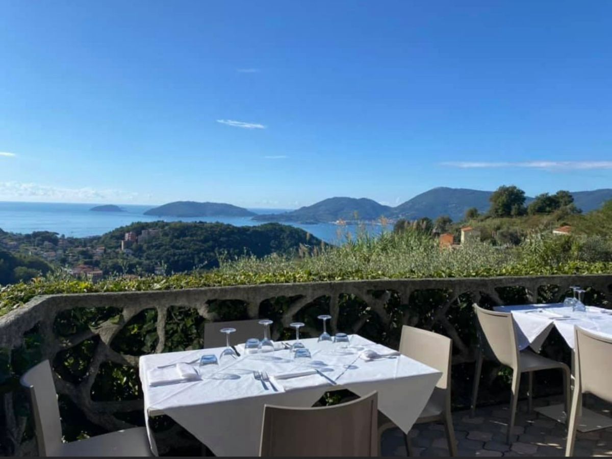 vue de la terrasse en été