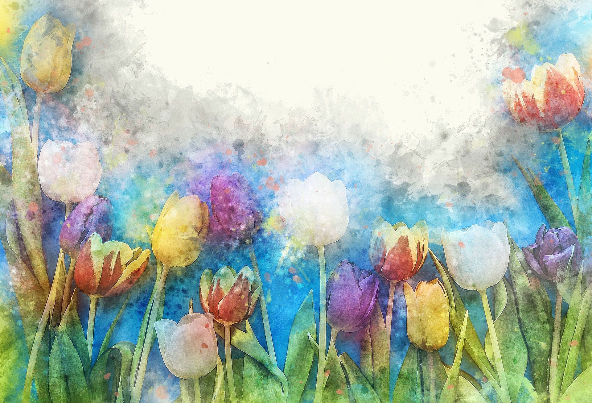 Colorful spring tulips