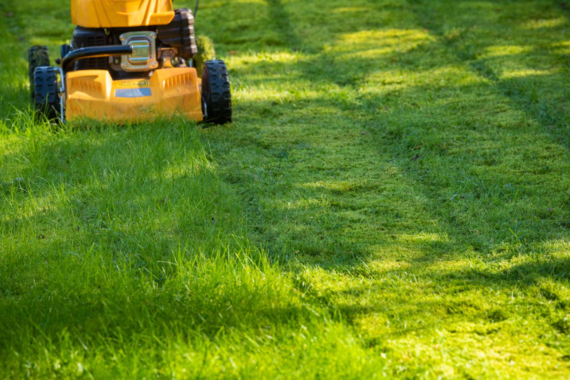 Un tosaerba giallo taglia l'erba verde