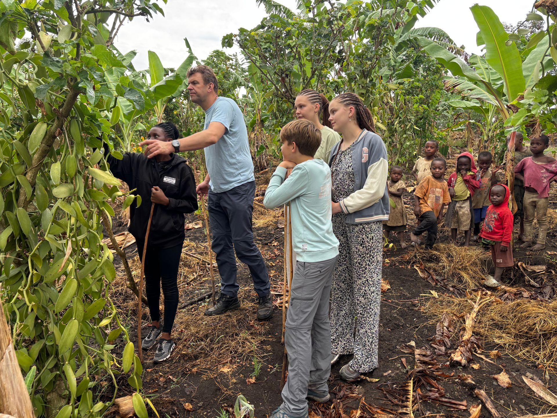Family and child examine vanilla plants in a field; other children watch in the background.